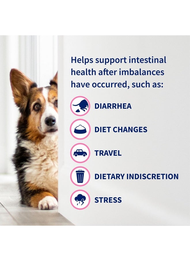 Nutramax Laboratories Nutramax Proviable Probiotics for Dogs, Daily Digestive Health Supplement with Multiple Strains of Bacteria, Dog Probiotics Plus Prebiotics, 60 Chewable Tablets  - Image 5