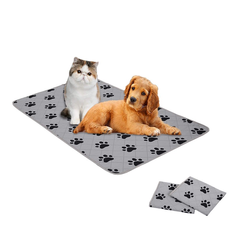 SPXTEX Dog Crate Pads Washable NonSlip Puppy Pee Rugs Waterproof Pet Training Pads for Small Dogs 2 Pieces 18x24
