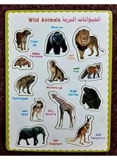 Wild Animals Matching