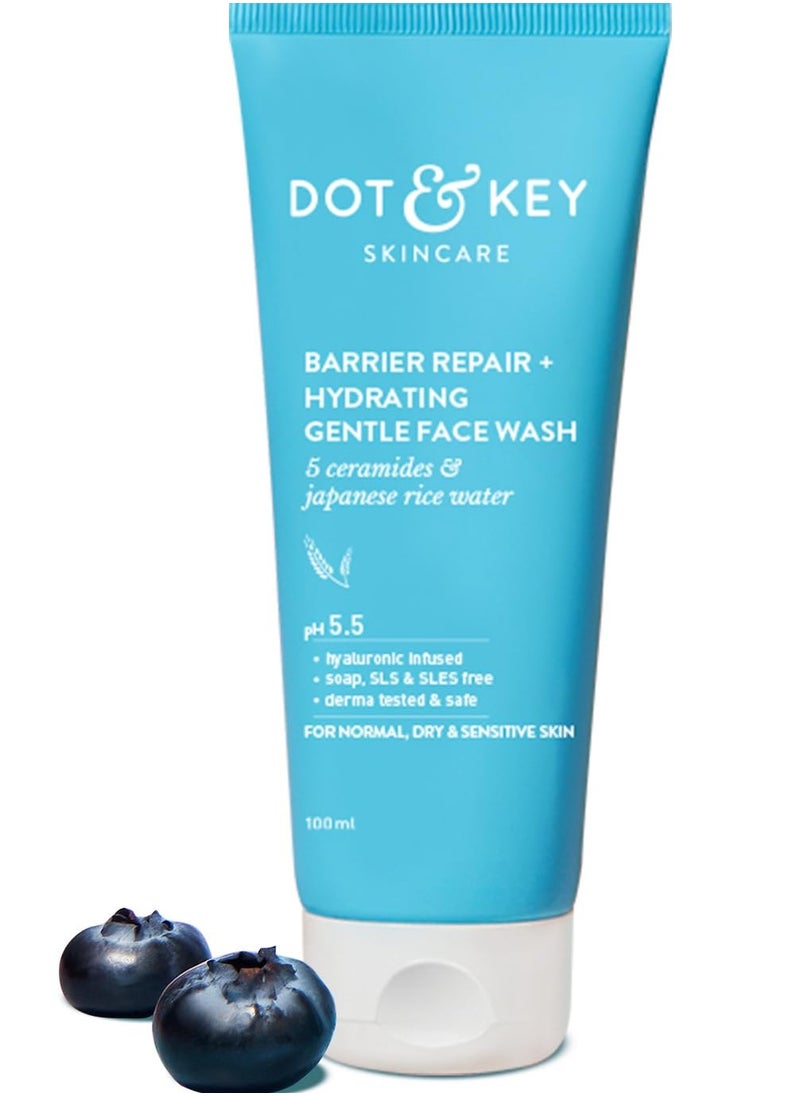 Dot & Key Dot & Key Barrier Repair and Hydrating Gentle Face Wash 100ml  - Image 1