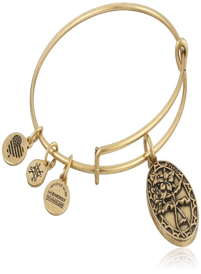 Alex and Ani Because I love you, Friend II Expandable Rafaelian Gold-Tone Bracelet - Image 1