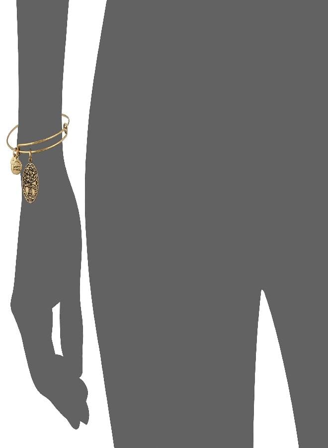 Alex and Ani Because I love you, Friend II Expandable Rafaelian Gold-Tone Bracelet - Image 3