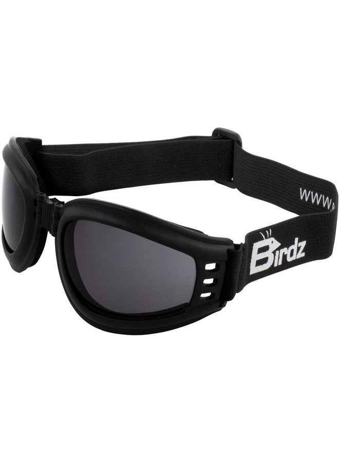 Birdz Eyewear Cardinal Padded Floating Motorcycle Goggles Black Folding Frame with Clear Lenses - Image 1