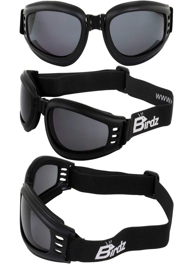Birdz Eyewear Cardinal Padded Floating Motorcycle Goggles Black Folding Frame with Clear Lenses - Image 5