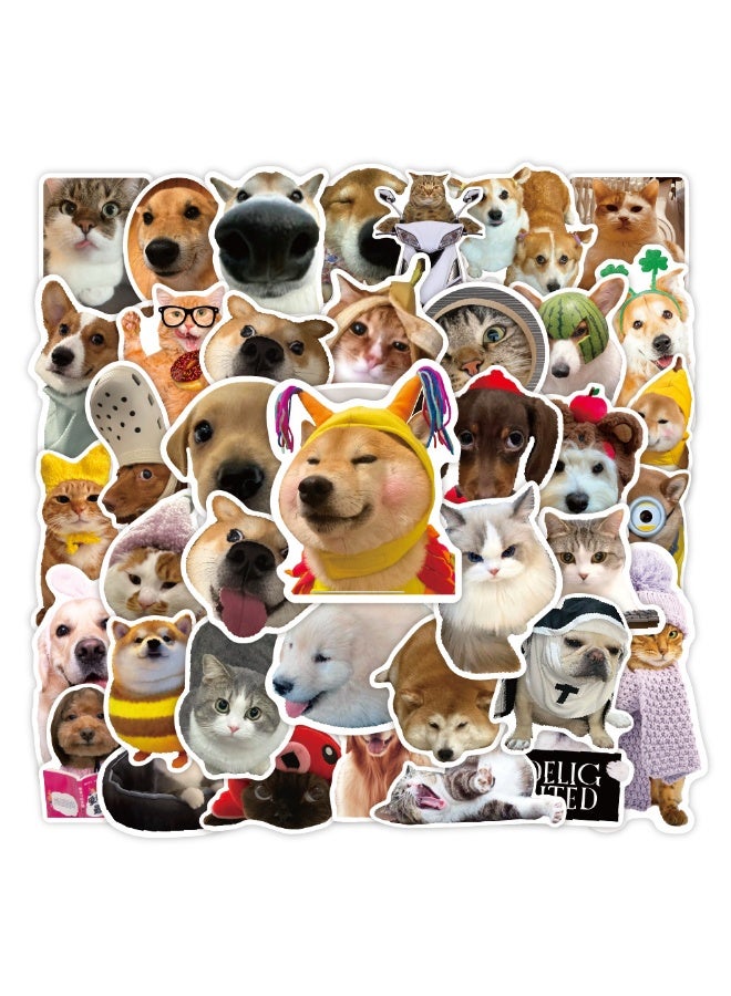 NIBEMINENT 50 Pcs Fun Cats And Dogs Deco Kit Waterproof Stickers, High Definition Printing Bright Colors, Suitable for Laptop Skateboard Luggage Water Bottle Guitar DIY - Image 2