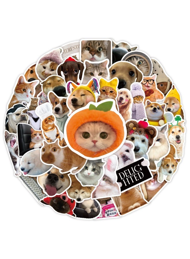NIBEMINENT 50 Pcs Fun Cats And Dogs Deco Kit Waterproof Stickers, High Definition Printing Bright Colors, Suitable for Laptop Skateboard Luggage Water Bottle Guitar DIY - Image 1