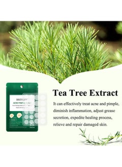 Breylee Acne Pimple Patch Acne Healing and Blemish Spot Treatment Clear  - Image 3