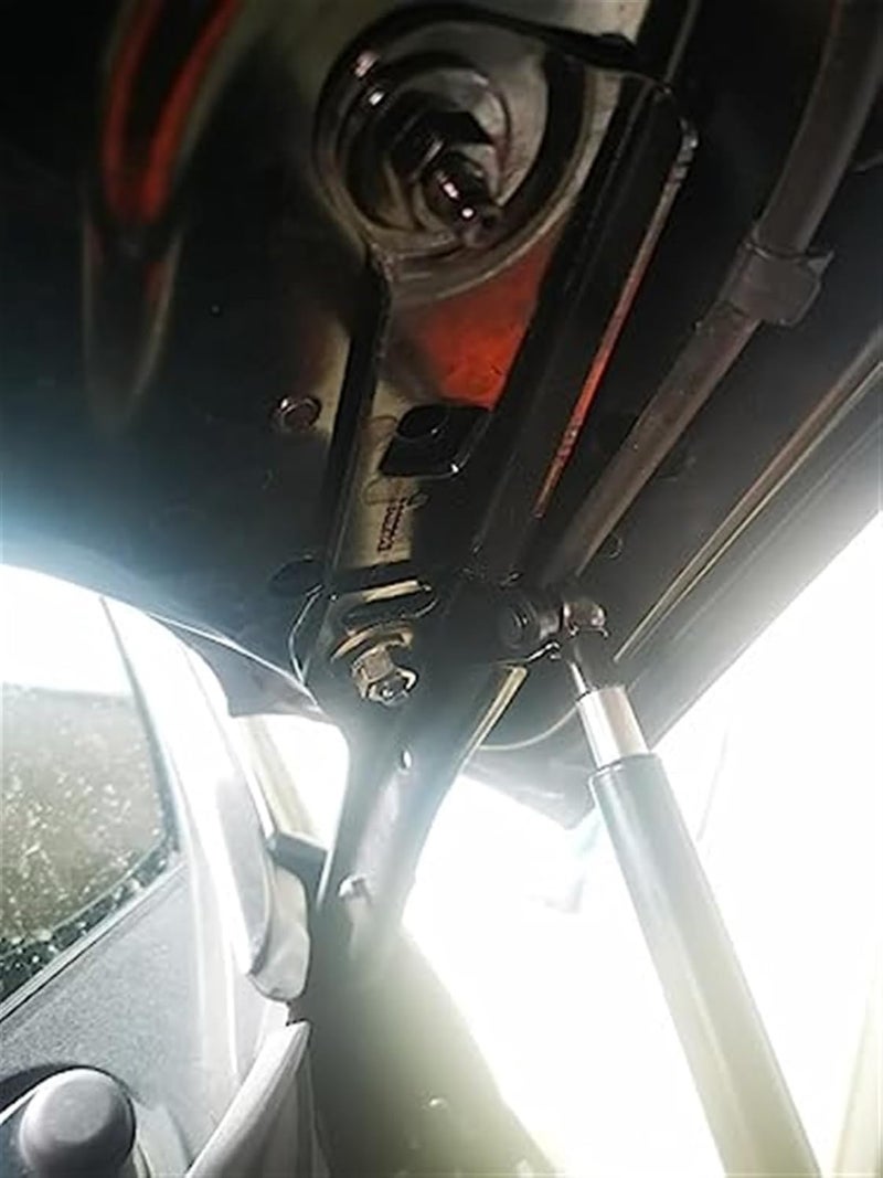 DEMULAX Purple Carbon Fiber Hood Lift Kit - Image 2