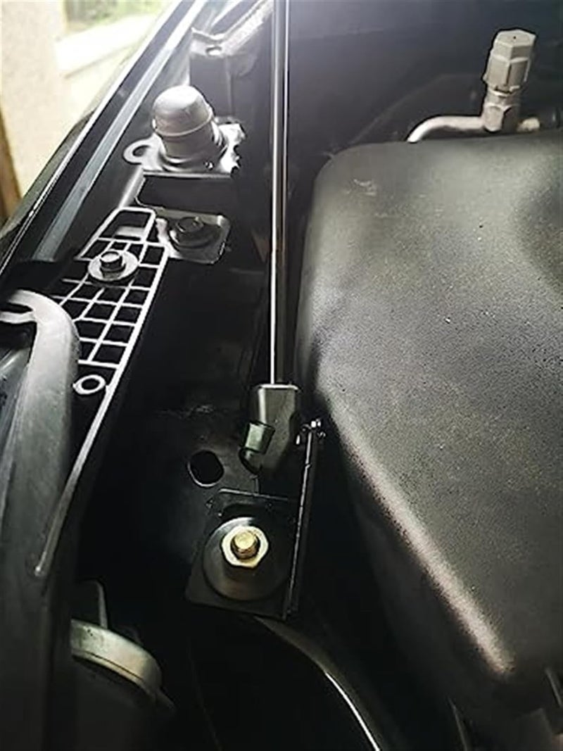 DEMULAX Purple Carbon Fiber Hood Lift Kit - Image 5