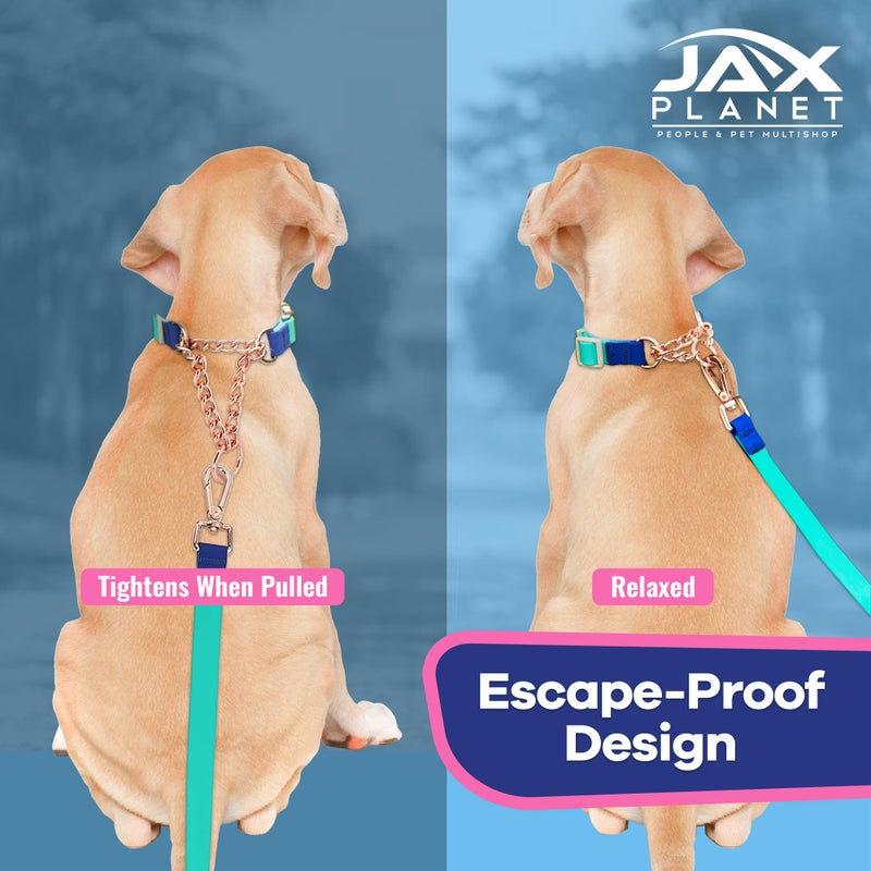 JAX PLANET Jelly Waterproof Martingale Dog Collar, No Pull Nylon Collar with Alloy Metal Buckle & D-Ring for Outdoor Training and Walking, Anti Pull, Escape Free, One Time Adjustment - Blue & Rose, XL - Image 4