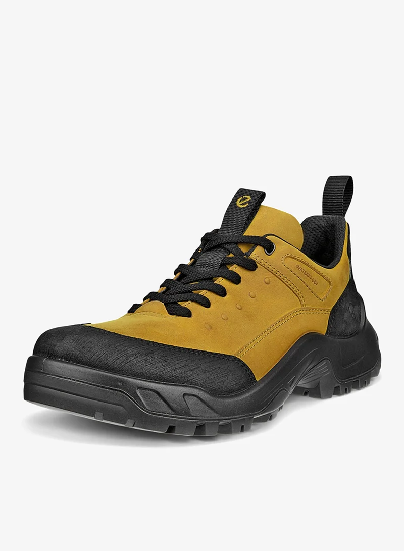 إيكو إيكو أوف رود إم زيت الزيتون