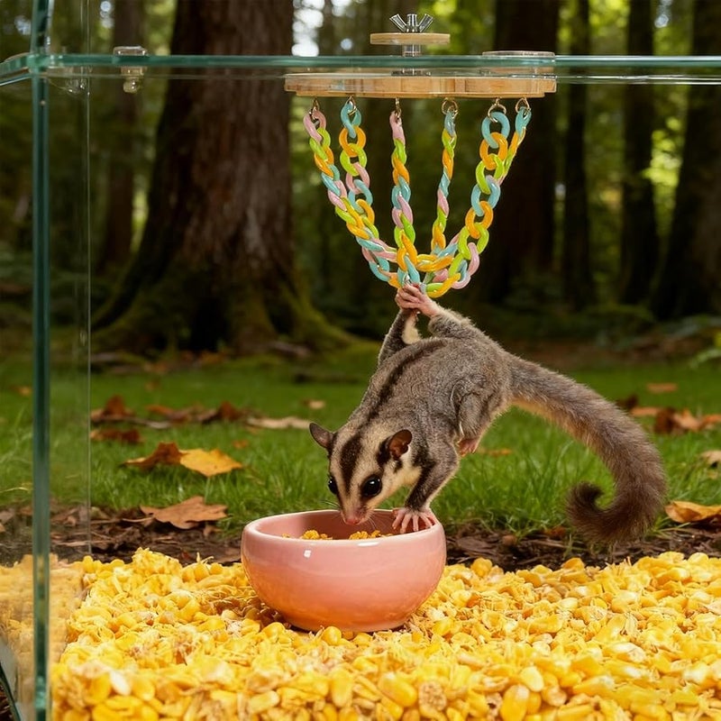 أرجوحة حيوان أليف صغيرة، قفص سنجاب، ملحق أداة تسلق خفيفة الوزن للسكر جلادير والطيور، للاستخدام الداخلي والخارجي - Image 3