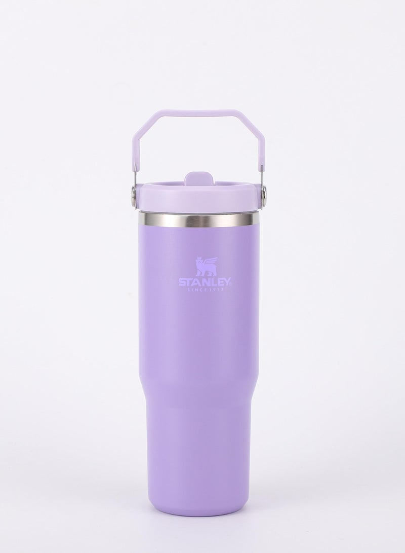 Stanley IceFlow Stainless Steel Tumbler - Vacuum Insulated Water Bottle for Home, Office or Car Reusable Cup with Straw Leak Resistant Flip Cold for 12 Hours or Iced for 2 Days, 30oz