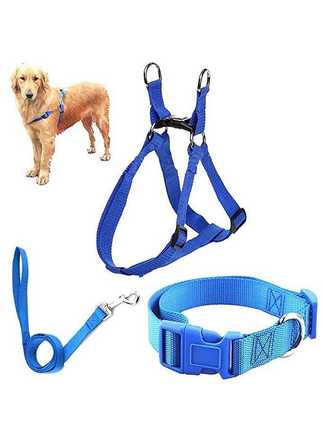 مجموعة طوق نايلون مقاس 0.5 بوصة ومقود قابل للتعديل مع حزام | مجموعة حزام مقاس 15 مم للكلاب والجراء (أزرق) - Image 1