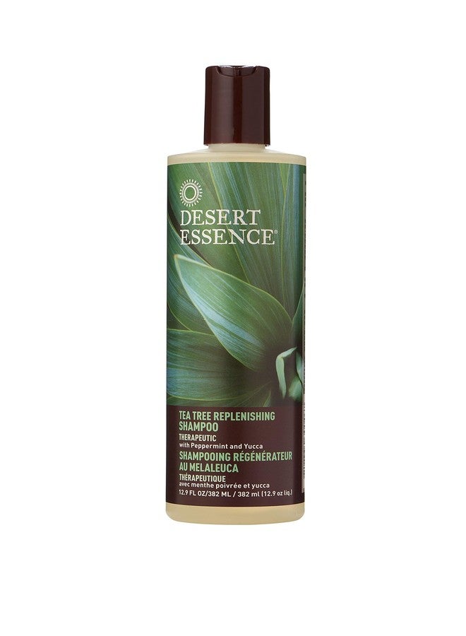 Desert Essence Shampoo, Tea Tree Replenishing Shampoo, 12.9 - Ounces (Pack of 3) - Image 1