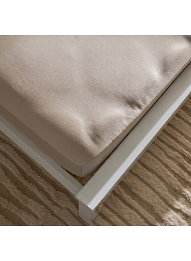 Opulent Luxe Solid Cotton Olympic Queen Fitted Sheet 160 x 200 x 40 cm - pzsku/Z1D4A0C5E3D058823F139Z/45/_/1732528202/7c244dc2-018d-4713-831d-a3c156b1772c