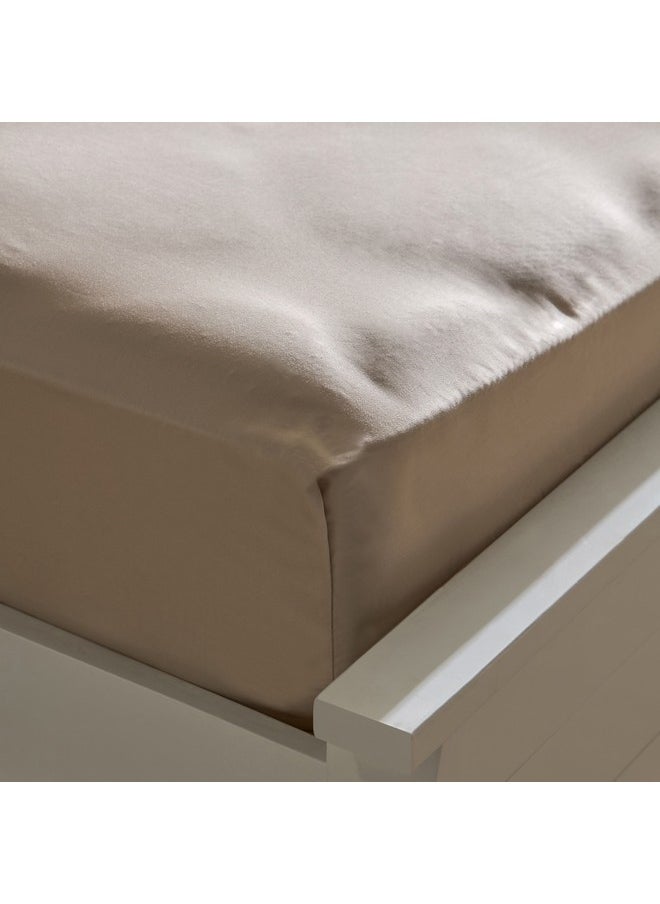 Opulent Luxe Solid Cotton Olympic Queen Fitted Sheet 160 x 200 x 40 cm - pzsku/Z1D4A0C5E3D058823F139Z/45/_/1732528207/d232be8e-fb64-4f47-8911-19ac59b33d47