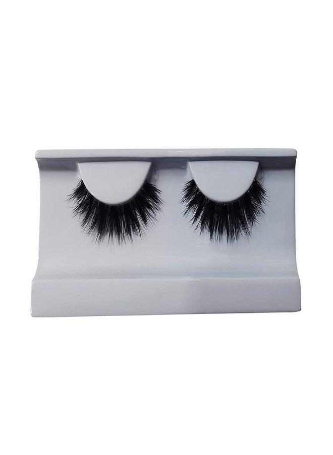 بروارتي بوس ليدي (PA123) - Image 2