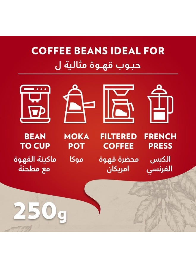 Lavazza Qualita Rossa Whole Bean Coffee 250 Gm - Image 4