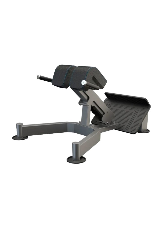 DHZ FITNESS Fitness Back Hyperextension 