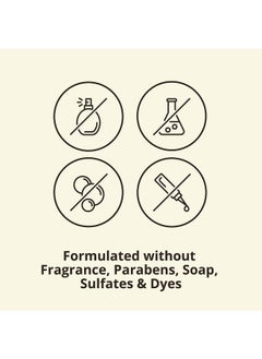 Aveeno Aveeno Daily Moisturizing Facial Cleanser with Soothing Non-GMO Oat, Leaves Skin Feeling Hydrated, Soft & Supple, Paraben-, Sulfate-, Fragrance-, Dye- & Soap-Free, Refill Pouch, 16 fl. oz  - Image 4