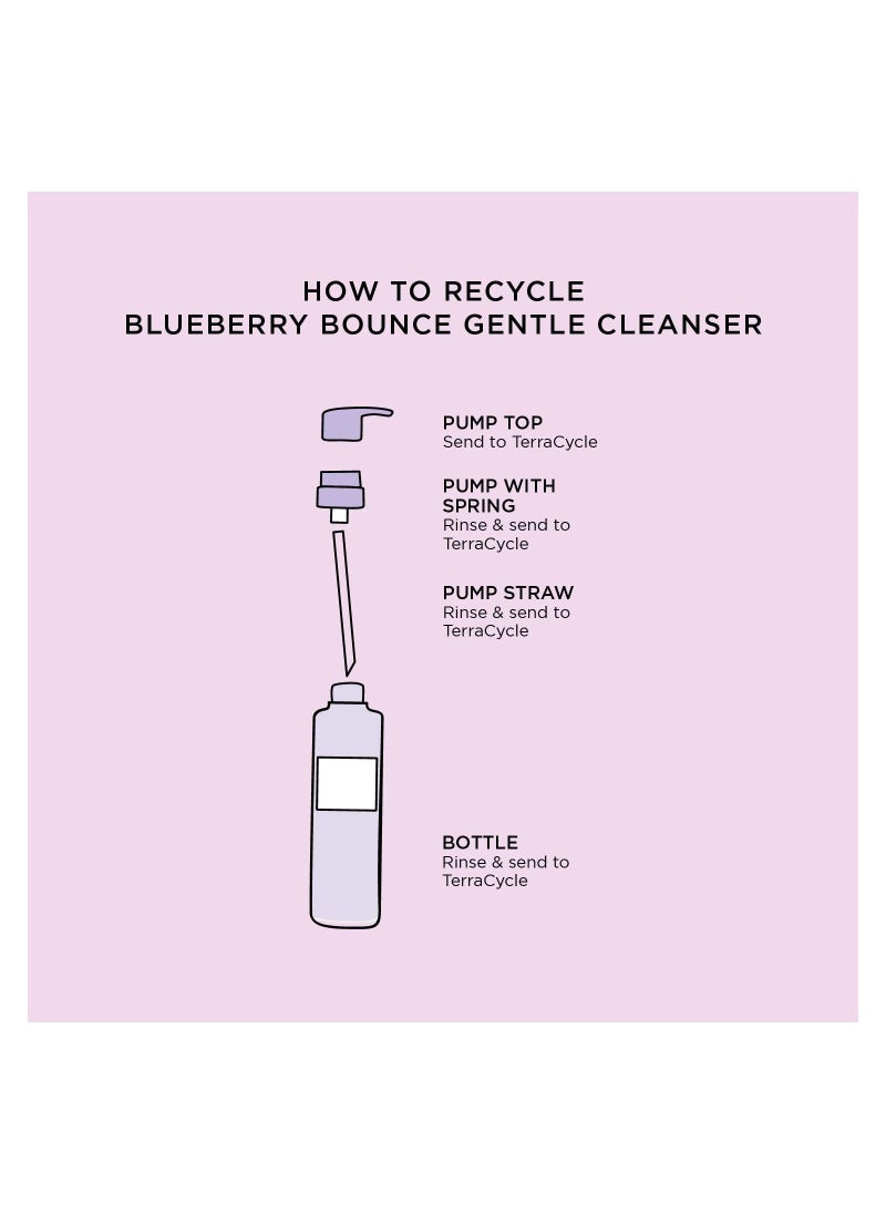 Blueberry Bounce Gentle Cleanser - 160ml - pzsku/Z1D4DEA64FD372B4CB499Z/45/_/1686678404/17dd76ff-6246-477c-be4f-87b809979889