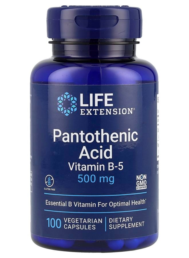 Pantothenic Acid Vitamin B-5 500 mg 100 Vegetarian Capsules