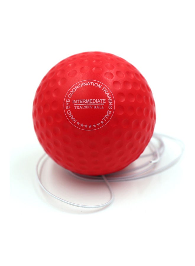 NIBEMINENT Boxing Reflex Balls with Silicone Fitness Headband Set - Image 5