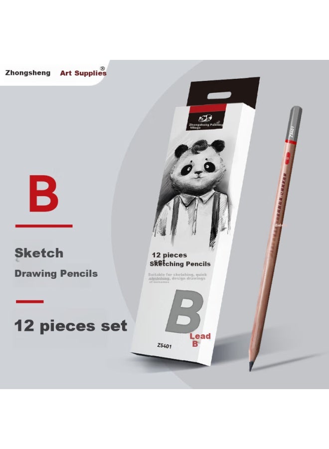 Transon B Pencil Sketch Student Exam Special Drawing Writing Pencil Hexagonal Pen Holder 12Pcs/Box Fine Arts Sketching - Image 1