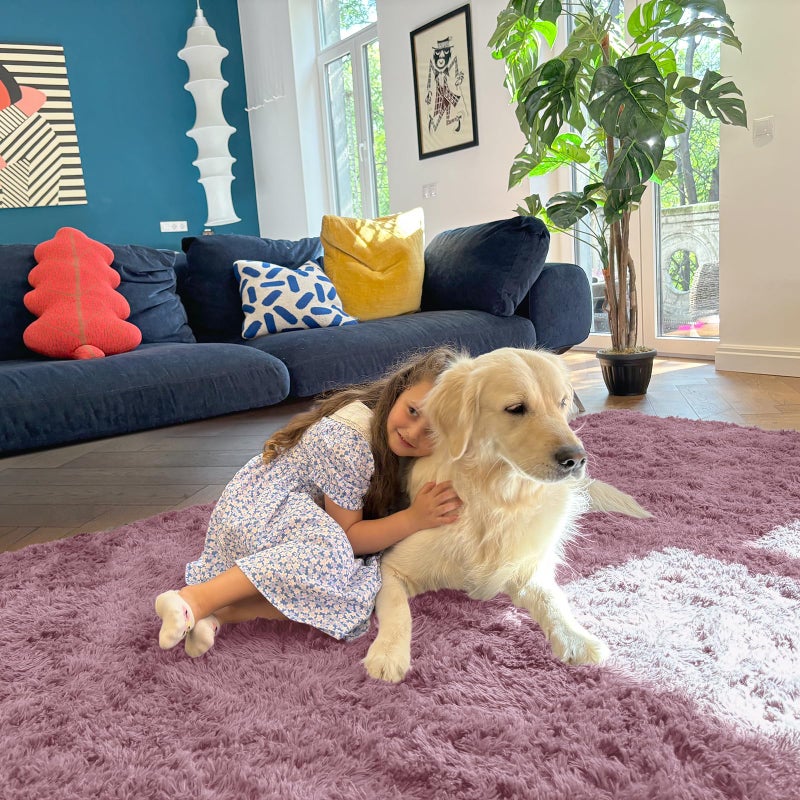 OLANLY Area Rugs for Living Room Bedroom, Machine Washable 4x5.9 ft Soft Fluffy Shaggy Bedside Rug, Indoor Floor Carpet for Kids Girls and Boys, Dorms, Nursery Rooms, Home Decor Aesthetic, Blush - Image 5