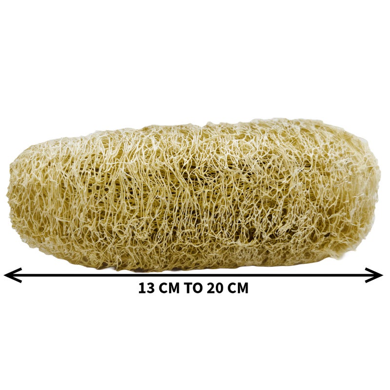 Natural Shower Luffa Sponge Body Scrubber | Luffa (Peerkangai) Bath scrub is Body Cleansing Removing Dead Skin Cells - Skin Care in Bath Spa Shower By SNKM (Pack of 6) - Image 2