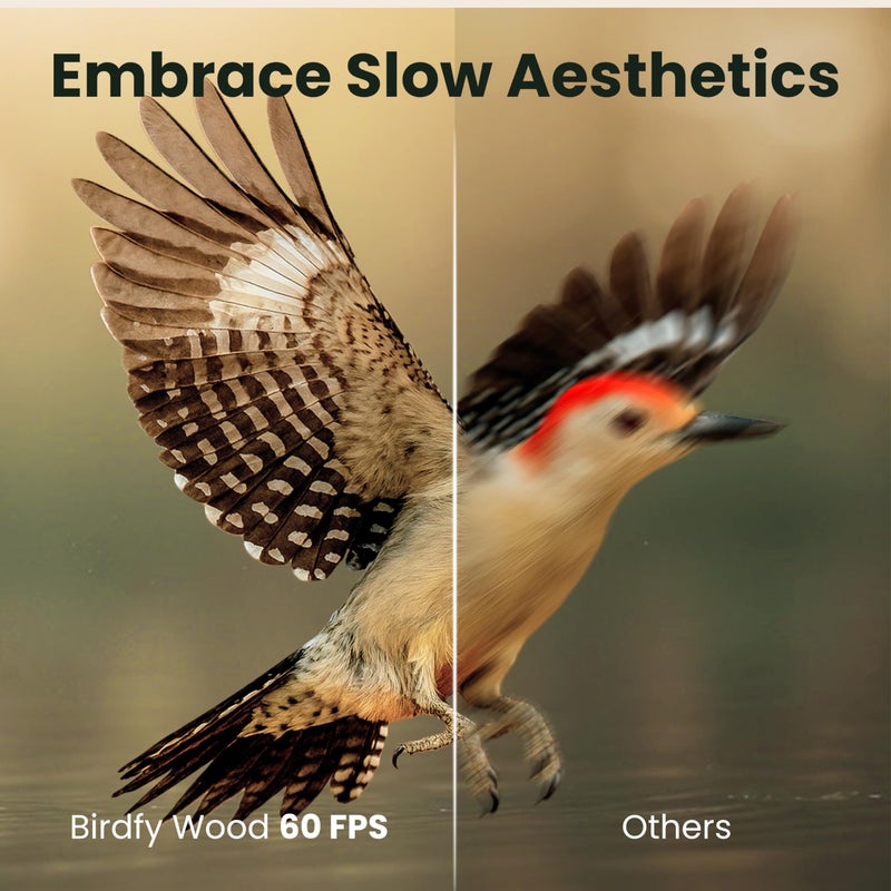 Birdfy Smart Bird Feeder with Camera Solar Powered, Slow-Motion Video & Night Insight, AI Identify 6000+ Species Lifetime Free, Ideal for Outdoors Bird Watching & Gifts for BirdLovers, Wood - Image 4