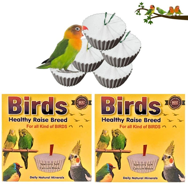 VAYINATO® Birds Healthy Raise Breed Daily Natural Minerals Specially Soft Calcium Block, 50G (Pack of 2) for All Kind of Birds - All Life Stages by Petzlifeworld - Image 1