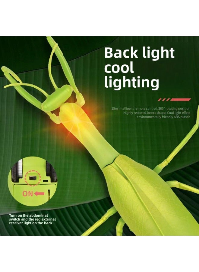 Loquat Remote Control Animal Mantis Creative Toys Remote Control Mantis Children Simulation Infrared Electric Strange Mantis Pet-Color:Mantis 6661 - Image 4
