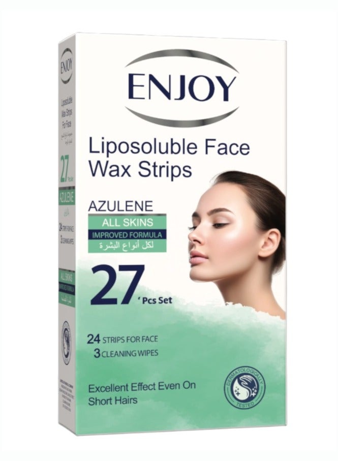 EN Joy Enjoy Azulene Facial Wax Strips for All Skin Types 27 Strips