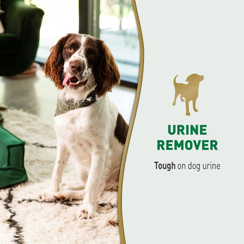 Nature's Miracle Dog Urine Remover, 128 Oz, Enzymatic Formula, Multicolor, 128.00 Fl Oz (Pack of 1) - Image 2