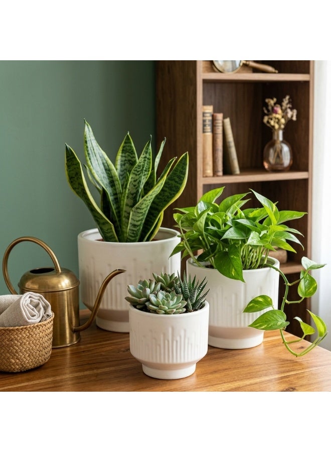 ىمارالد مجموعة من 3 أواني زراعة سيراميك فاخرة مصنوعة يدويًا، مصنوعة من الخزف الحجري الأبيض غير اللامع، مناسبة للزراعة الداخلية، مزودة بفتحة تصريف، مثالية لتزيين المنزل والمكتب. - Image 2