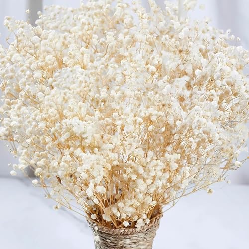 ROYAL SAPPHIRE Dried Baby's Breath Flowers, Natural Pink, Dried Floral Arrangement for Home Decor, Weddings, Events (Natural) - Image 1