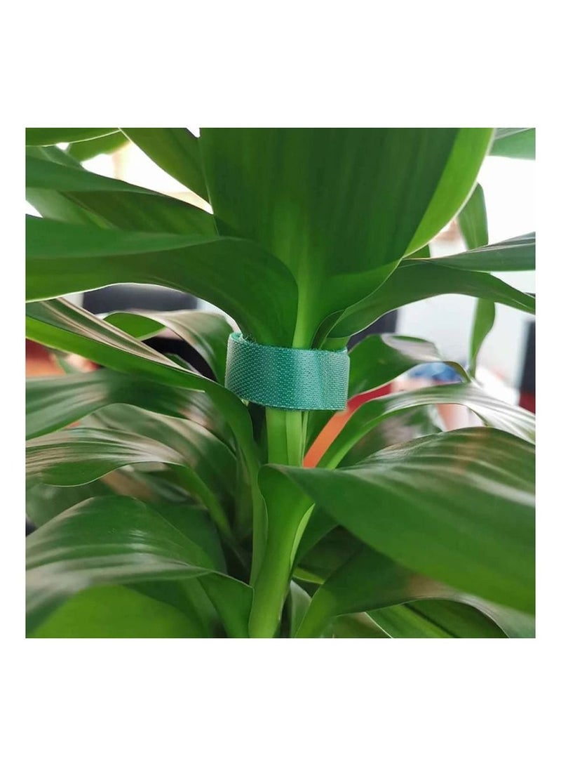 Generic 3 Pcs  Plant Ties Nylon Plant Bandage Tie Home Garden Plant Shape Tape Hook Loop Bamboo Cane Wrap Support Accessories  - Image 2