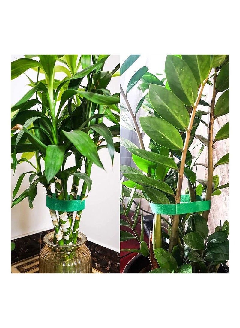 Generic 3 Pcs  Plant Ties Nylon Plant Bandage Tie Home Garden Plant Shape Tape Hook Loop Bamboo Cane Wrap Support Accessories  - Image 3