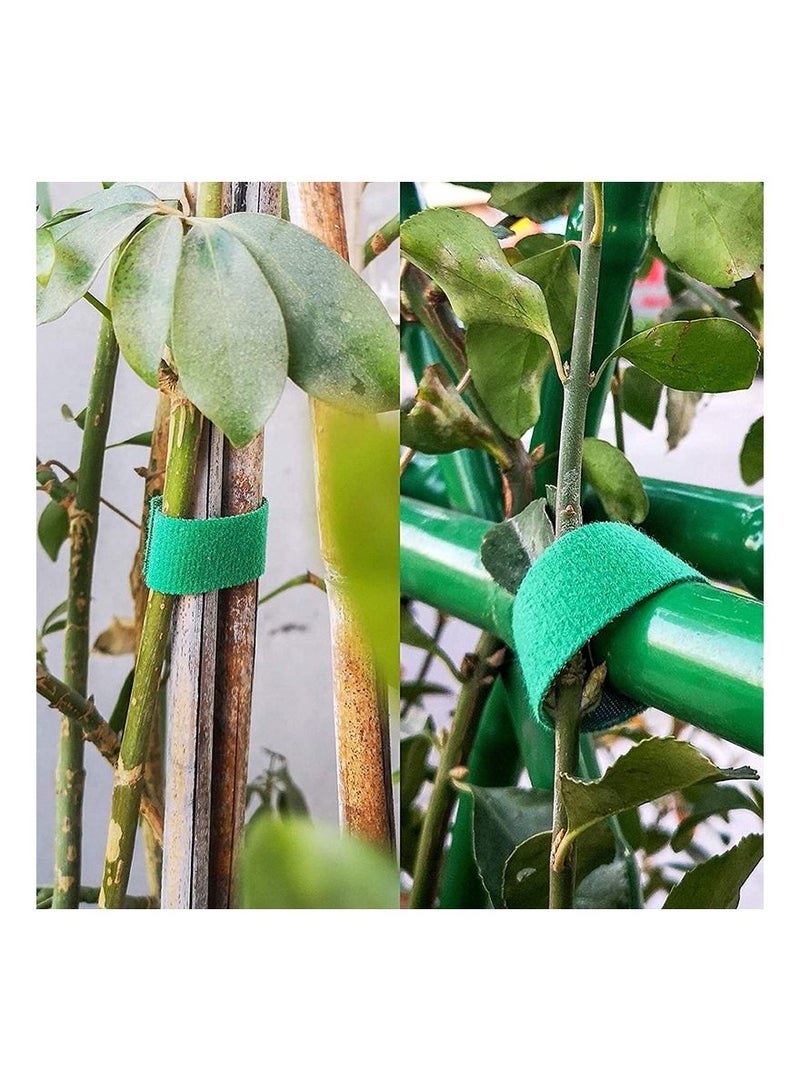 Generic 3 Pcs  Plant Ties Nylon Plant Bandage Tie Home Garden Plant Shape Tape Hook Loop Bamboo Cane Wrap Support Accessories  - Image 4