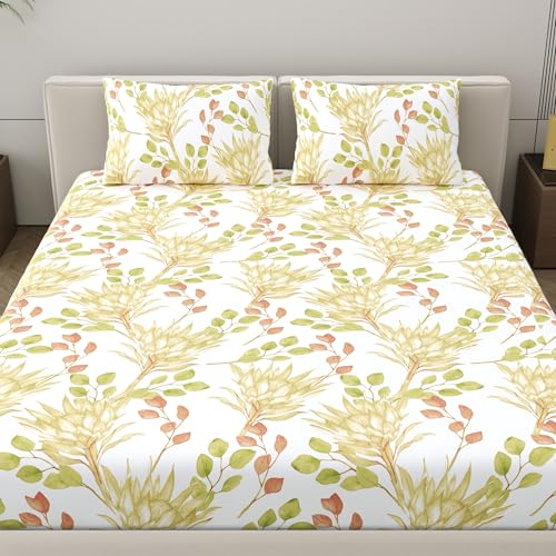 Home Ecstasy 100% Cotton Value King Bedsheet with 2 Pillow Covers - (Size 87 x 108 inches, 140 TC, Colour - Multi: Tangerine) - Image 2
