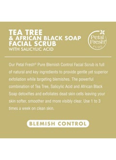 Petal fresh Pure Clarifying Deep Action Cooling Tea Tree & Peppermint Facial Cleanser + Facial Scrub Combo | For Oily, Acne Prone Skin With Blemish Control |100% Natural, Vegan & Cruelty Free 400 Ml  - Image 5