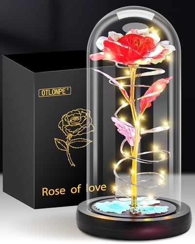 Otlonpe Rose Flower Mothers Day Mom Gifts from Daughter Son Birthday Gifts for Women Grandma Wife Girlfriend Sister Her Gifts for Teacher Appreciation Graduation Anniversary Christmas Valentines