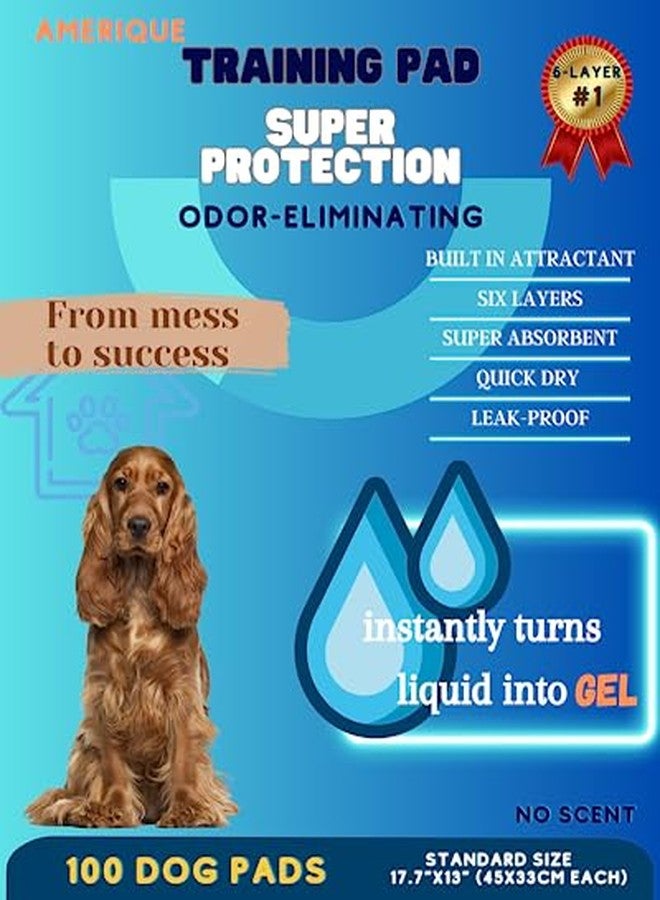 AMERIQUE Dog and Puppy Pet Pee Training Pads with Odor-Eliminating Leak-Proof Quick-Dry Design, Potty Training, Super Absorbency, Regular Size, 17.7 x 13 Inches, Pack of 100, Blue & White - Image 2