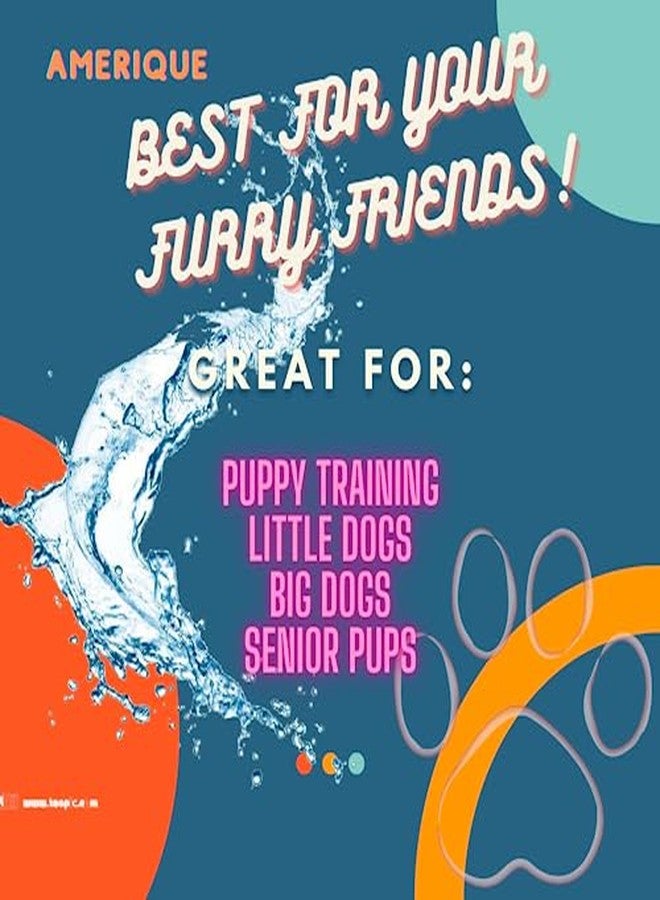 AMERIQUE Dog and Puppy Pet Pee Training Pads with Odor-Eliminating Leak-Proof Quick-Dry Design, Potty Training, Super Absorbency, Regular Size, 17.7 x 13 Inches, Pack of 100, Blue & White - Image 4