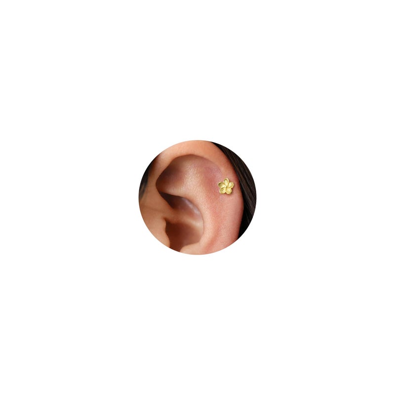NONTAI 16G Dainty Flower Gold Stud Earrings, Cartilage Tragus Helix Flat Back Stud Conch Piercing Jewelry - Image 1