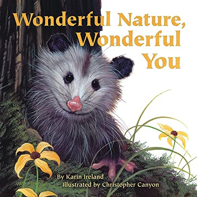 Wonderful Nature Wonderful You 