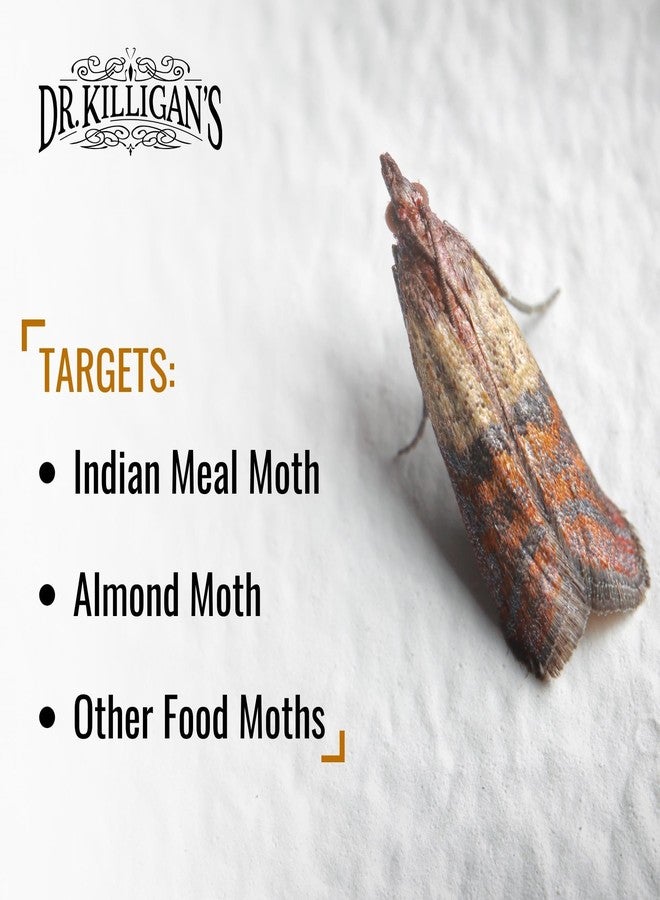 Dr. Killigan's Premium Double Potent Pantry Moth Traps with Pheromones Prime, Indian Meal Moth Traps for House, How to Get Rid of Moths in House (6 Count, Blue) - Image 4