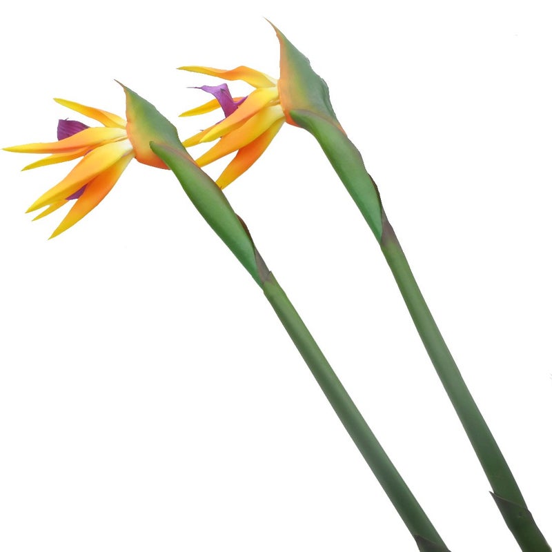 Calcifer 32'' Real Touch Bird of Paradise Artificial Flowers Bouquet for Home Garden Decoration/Wedding Party Decor Orange (Package Quantity: 5 Stems) - Image 5